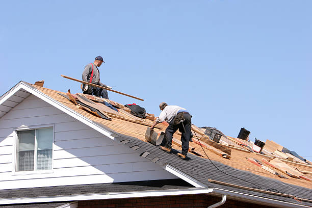 Best Roof Insulation Installation  in East Highland Park, VA